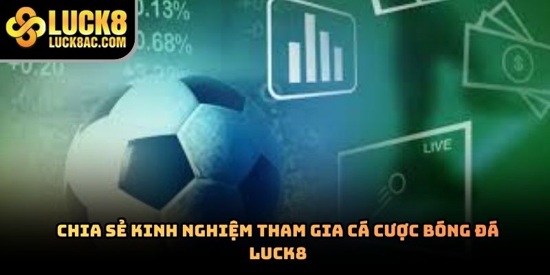 Cá cược bóng đá Luck8 – Trải nghiệm đặt cược hấp dẫn