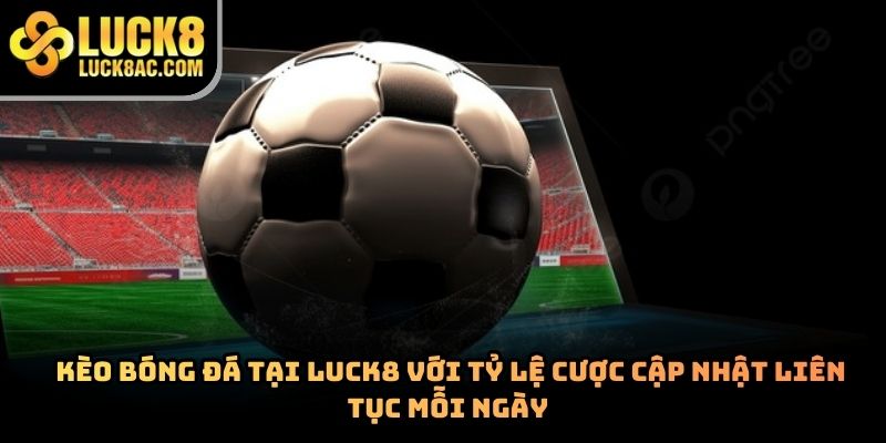 Cá cược bóng đá Luck8 – Trải nghiệm đặt cược hấp dẫn