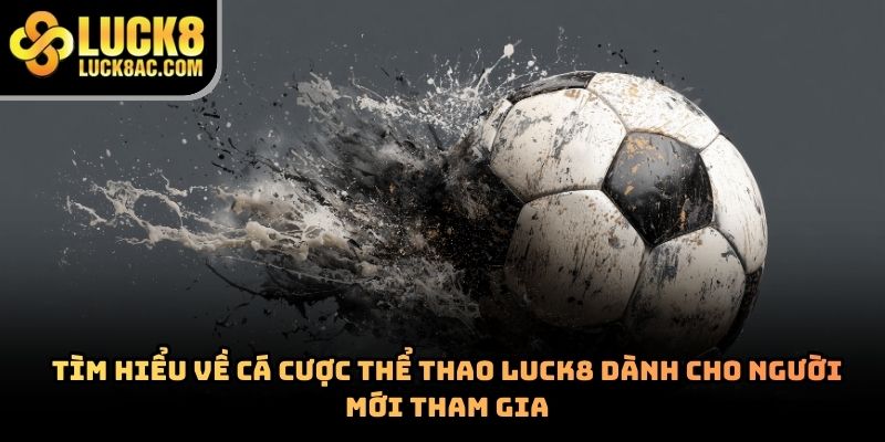 Tham gia chơi cá cược thể thao Luck8 cực hot năm 2026