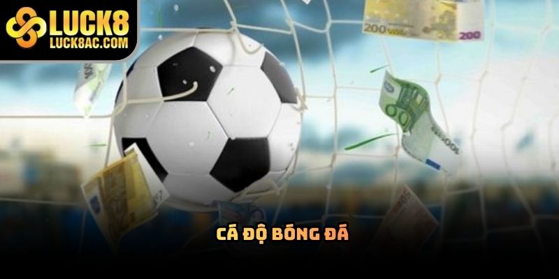 Cá độ bóng đá Luck8 có gì nổi bật trên thị trường hiện nay?