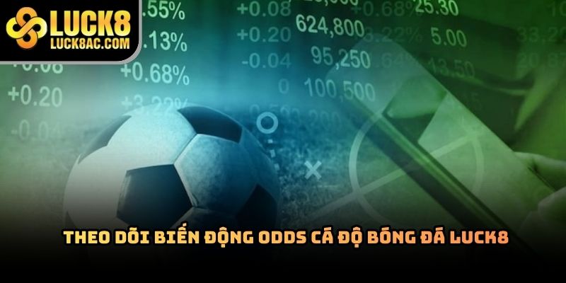Cá độ bóng đá Luck8 có gì nổi bật trên thị trường hiện nay?